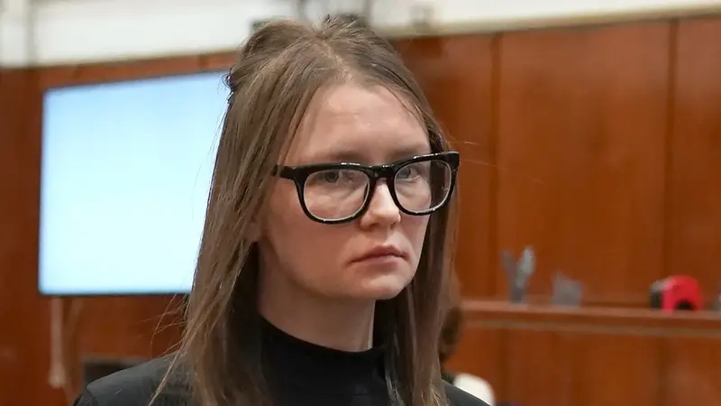 anna delvey what did she do